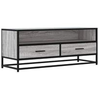 vidaXL Televizoriaus spintelė, pilka, 100x34,5x40cm, mediena/metalas