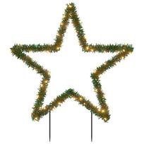 vidaXL Kalėdinė šviečianti dekoracija žvaigždė, 80LED, 60cm