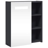 vidaXL Veidrodinė vonios kambario spintelė su LED, pilka, 45x13x52cm
