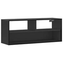 vidaXL Televizoriaus spintelė, juoda, 100x31x39,5cm, mediena/metalas