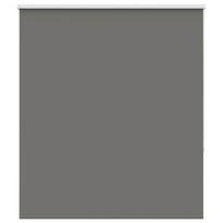 vidaXL roletas smėlio Pilka 120x130 cm audinio plotis 116,6 cm