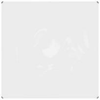 vidaXL Skaidrus brezentas su kilpelėmis, 2x2 m, PVC