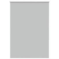 vidaXL roletas šviesiai pilka 105x175 cm audinio plotis 100,7 cm