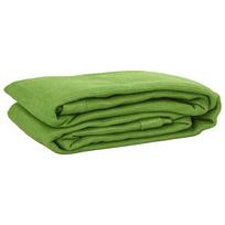 vidaXL Palapinės kilimas, šviesiai žalios spalvos, 200x300cm, HDPE