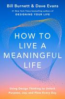 How to Live a Meaningful Life: Using Design Thinking to Unlock Purpose, Joy, and Flow Every Day