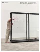 Erzähl uns etwas, das niemand weiß: Edith Dekyndt