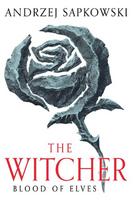 Blood of Elves: Witcher 1. Now a major Netflix show