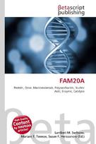 FAM20A: Protein, Gene, Macromolecule, Polysaccharide, Nucleic Acid, Enzyme, Catalysis