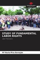 STUDY OF FUNDAMENTAL LABOR RIGHTS: Labor Procedure
