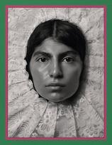 Pieter Henket: Birds of Mexico City