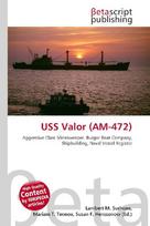 USS Valor (AM-472)