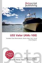 USS Valor (AMc-108)