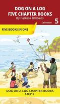 Five Chapter Books 5: Decodable Series for Students Learning to Read. For Beginning Readers and Students with Dyslexia. (Step 5-Magic/Silent e)