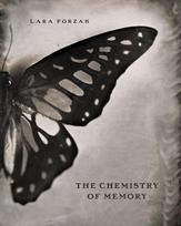 The Chemistry of Memory