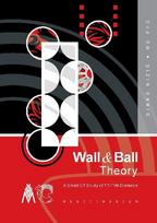 Wall & Ball Theory: A Small CT Study of TT-TIM Distance