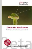 Acontista Brevipennis: Acanthopidae, Mantis, Mantidae, European Mantis