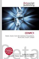 CENPC1: Protein, Genetic Code, Macromolecule, Polysaccharide, Nucleic Acid,        Enzyme, Catalysis