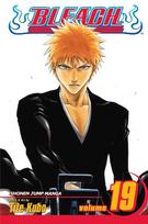 Bleach, Vol. 19: The Black Moon Rising