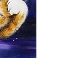 5D DIY Full Round Drill Diamond Painting Cat Antics Kit Home Decoration 30x40cm China Mainland