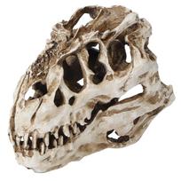 Dervos Dinosaure Kaukolės Asmenybė Gyvūno Kaulų Papuošalai Rekvizitas Helovino Kolekcija Rankdarbių Dekoracija