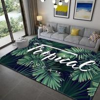VIKAMA Nordic Crystal Velvet Rug – Non-Slip, Easy-Clean Living Room Carpet for Sofa and Coffee Table, Home Decoration 60cm x 90cm