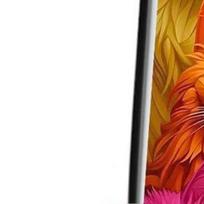 5D DIY Full Round Drill Diamond Painting Colourful Cats Kit Home Decor 30x40cm China Mainland