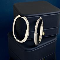 Fan Personality Two-Color U-Shaped Half-Diamond Lock Earrings Lock Series Large Earrings Jewelry
