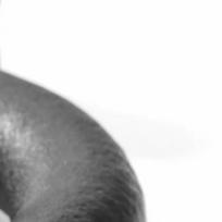 Aluminum Alloy Gimbal Tripod Head Bird-watching Photography Telephoto Lens for Household Studio Photographic Decor China Mainland