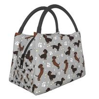 Gray Dachshunds Dackel Insulated Lunch Bags for Camping Travel The Wiener Dog Teckel Resuable Cooler Thermal Bento Box Women 28x17x16CM smėlis
