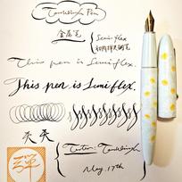Hongdian C3 Super Elastic Nib Fountain Pen Semi Flex Elementary Art Elastic Nib Fountain Pen Daily Sketching Round Body (as the picture,Semi-flex)