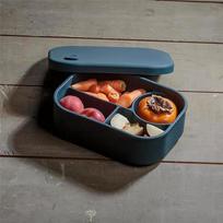 AEE2-Bento Box,Food Storage Leak-Proof Box, Snack Container,Silicone Food Holder, Microwave Heating, Lunchbox For Kid Adult tamsiai oranžinės spalvos