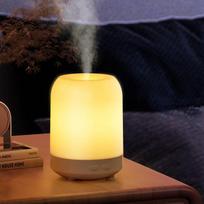 2024 USB Naktinė lemputė Bevandenių aromaterapinių aliejų difuzorius ir drėkintuvas warm light balta