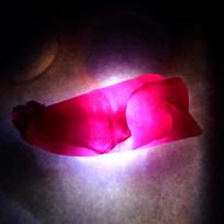 Uncut Raw Rough 36.00 Ct Red Ruby Rare Loose Gemstone CERTIFIED Natural 33.6 mm approx raudona