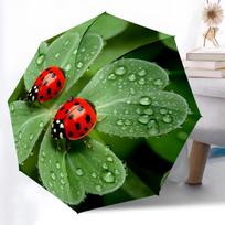 1pc Sturdy 8-Bone Auto Umbrella, ladybugs and leaves Umbrella, Digital Printed, Foldable Umbrella for On-the-Go Outdoor Use