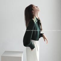 Women's Elegant Satin Long-Sleeve Shirt: Designer Style Acetate Top for Spring and Autumn S žalia