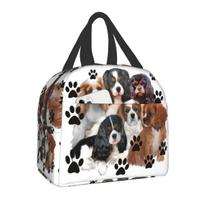 Šuo Cavalier King Charles Spaniel Izoliuotas pietų krepšys Daugkartinio naudojimo šaltkrepšis Terminis pietų dėžutė moterims vaikams piknikui kelionėms S įvairiaspalvis