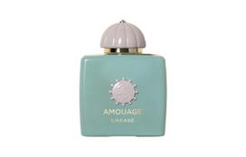 AMOUAGE Descendants Of The Traveler Perfumes Woody Aquatic Accord Eau De Parfum EDP Ginger Olibanum 50ml/100ml 100ml