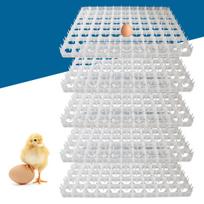 Kiaušinių inkubatoriaus padėklai 5 vnt. Universalūs kiaušinių perėjimo padėklai PC medžiaga Stabilus kiaušinių laikiklis Baltos spalvos Didelė talpa 88 kiaušiniai balta