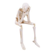 Skull Statues See Speak Hear No Evil Skeleton Figurines Resin Collectibles Statues for Halloween Home Bookshelf Table Ledge Edge