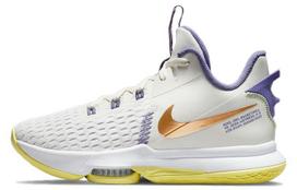 Nike LeBron Witness 5 EP 'Summit White Metallic Bronze' 42.5