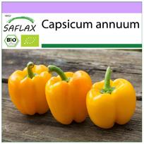 SAFLAX – Ekologiški – Saldžiosios paprikos – Golden California Wonder – 20 sėklų – Capsicum annuum