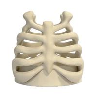 Ribcage Pen Holder Gothic Makeup Brush Holder 3D Printed Anatomy-Themed Skull Pen Holder Desktop Organizer for Vanity Desk Office Room Decor balta