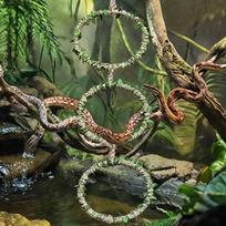 Fun Terrarium Exercise Rings for Pet Snake Reptiles Safe And Engagement Climbing Toy For Pet Lizards And Small Animals 1