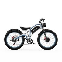 DUOTTS N26 Elektrinis Dviratis 1500W