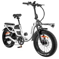 FAFREES F20 X-MAX 30Ah Elektrinis Dviratis