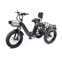 PULUMA SL001 elektrinis triratis 27Ah 500W *2x