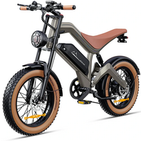 DYU M20 elektrinis dviratis 750W