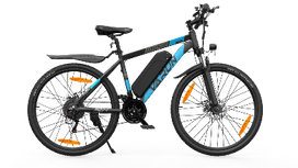 VARUN M27-1 elektrinis dviratis 250W