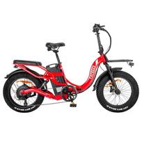 FAFREES F20 X-MAX 30Ah Elektrinis Dviratis