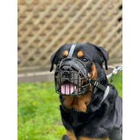 25-26 Strong Wire Metal Muzzle Basket Dog Muzzle Rottweiler,mastiff Golden Retriever & Other (r1, Black/black Leather)